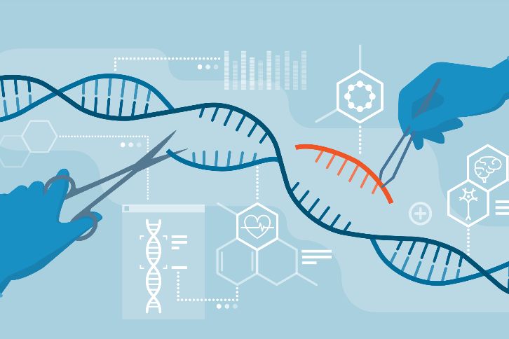 This image show a veyr high level concept of CRISPR, gene editing